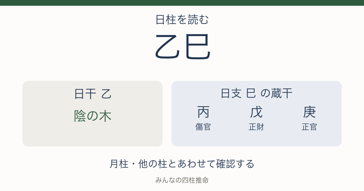 乙巳の日干は陰の木。日支の蔵干は丙（傷官）、戊（正財）、庚（正官）。